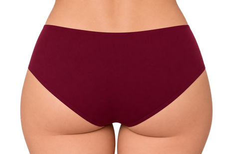 Ten Cate slip secrets midi brief cherry burgundy femmes