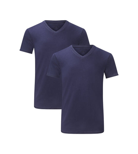 Bamboo Basics set van twee blauwe T-shirts met V-hals voor heren
